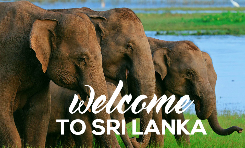 SK Lanka Travel Team